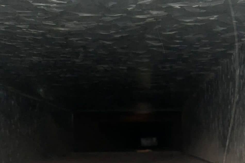 service-02 Air Duct Cleaning San Diego Hero Mobile